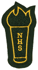 Academic Torch Patch from CustomChenillePatches.com