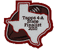 Real Feel State Football patch using the state of Texas.  5 or so inches tall depending on the state used.