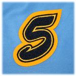 Brush Script Chenille Number Patch