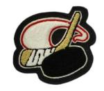 A really cool hockey patch with a swooping tail and a stick in motion.
