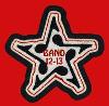 A Star patch with music notes.  A very beautiful chenille patch